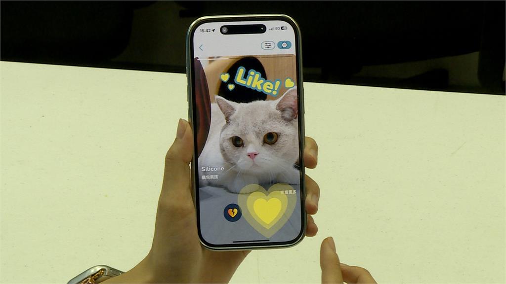 民視財經新聞報導 PetView