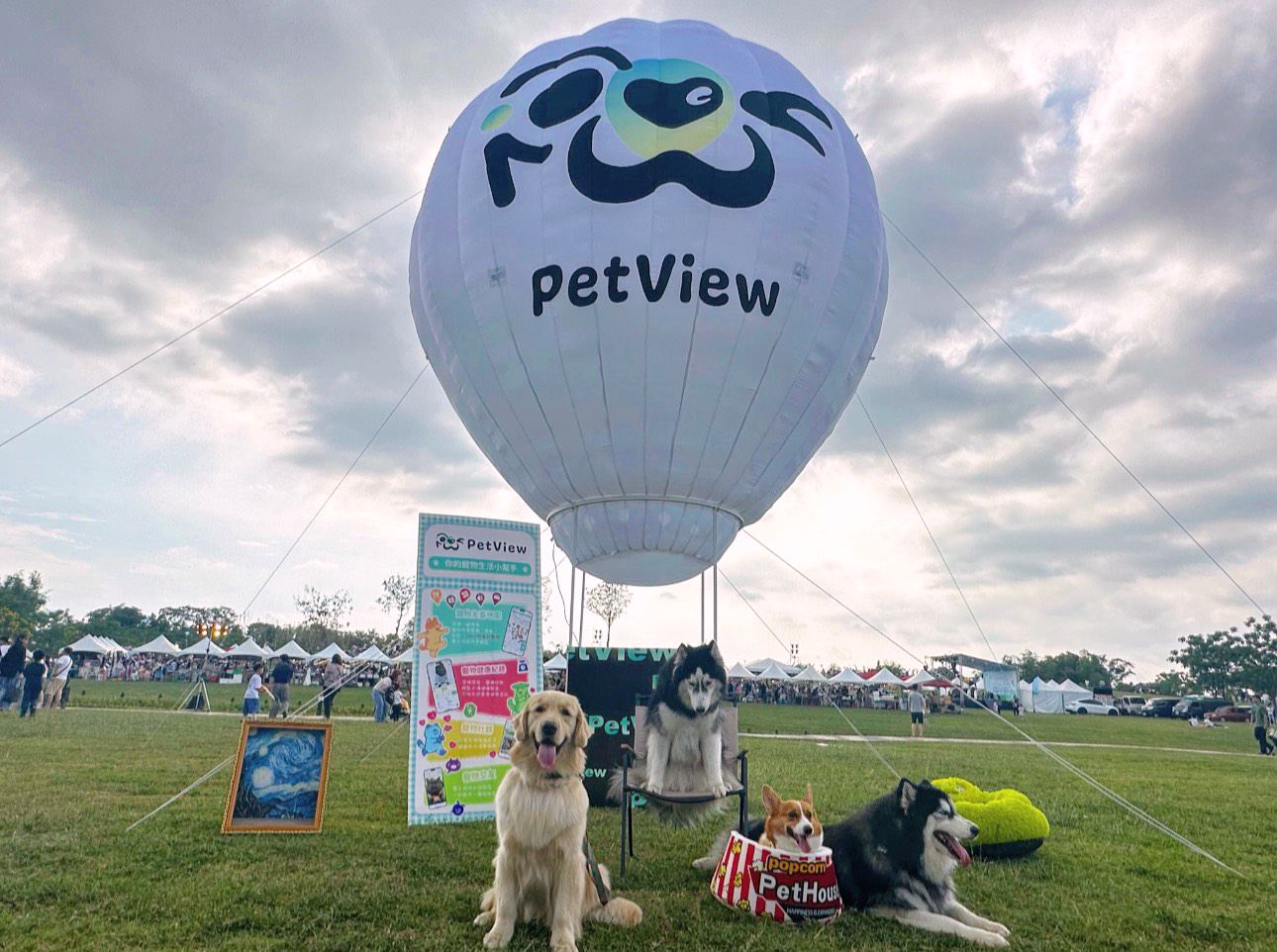 西拉雅森活節 PetView 合作案例 - 寵物友善活動推廣
